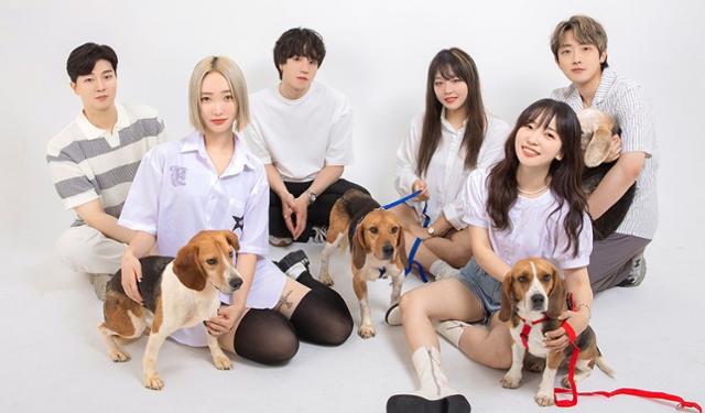 새 견생 기다리는 실험비글과 인디밴드 돕는 크라우드 펀딩 - 뉴스 썸네일 이미지