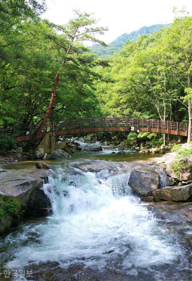 구천동 33경 인월담. 계곡을 가로지르는 다리 아래 암반 위로 맑은 물이 쏟아지고 있다.