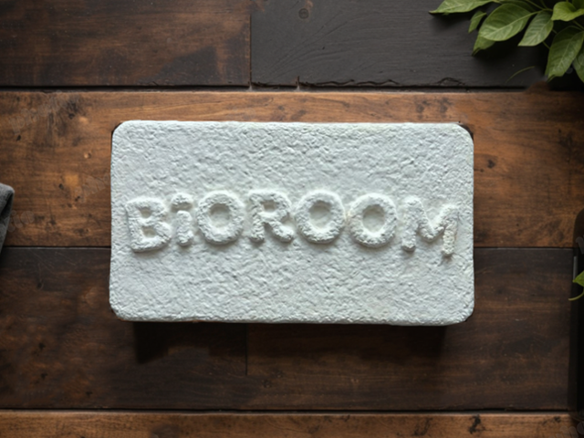 스티로폼 대체할 버섯 균사체 포장재 연구 활발 - 뉴스 썸네일 이미지