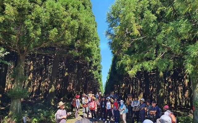 제주 한라산둘레길 시험림길 전경. 한라산둘레길 제공