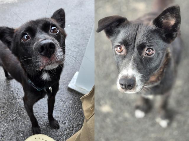 ������ ��ٸ��� ��ũ(������)�� ���ݶ�. ����Ʈ ����