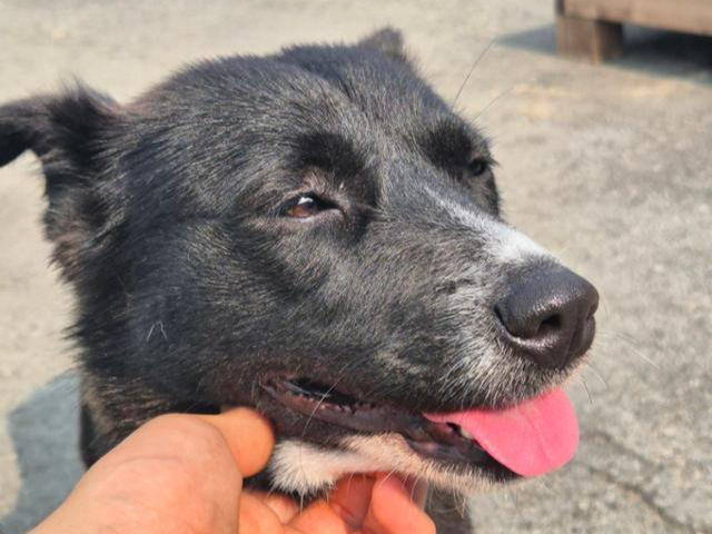 ����� �ձ��� �����ϴ� ��ũ. ����Ʈ ����