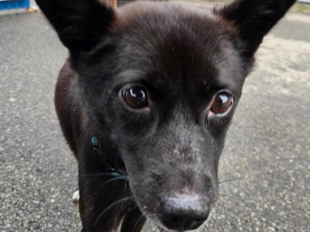 ���ɽ����� ���������� ���ݾ� ������ ���� ���� �ִ� ���ݶ�. ����Ʈ ����