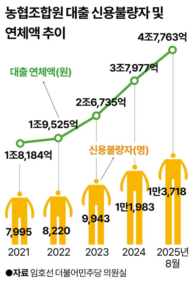 그래픽 = 강준구 기자