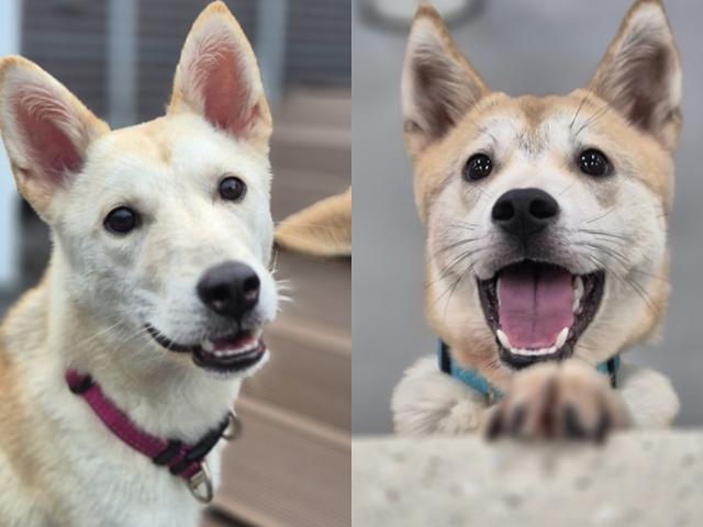 �Ծ� ������ ��ٸ��� �ִ� ����(����)�� ����. ����Ʈ ����