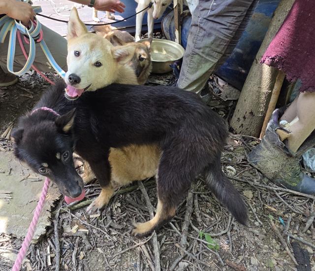 Ʈ���� ���� �ư� ���� ����� ������ ��ȣ�ϰ� �ִ� ���. ����Ʈ ����