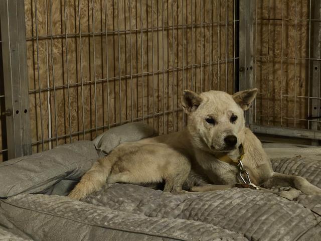 ��� ȭ���ÿ��� �������� ���ѳ� ������ �������� ���� �� ���. ����Ʈ ����