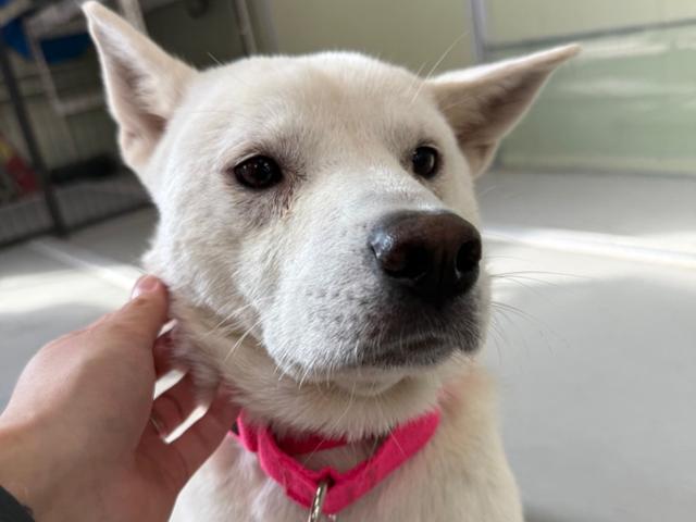 Ȱ�������� ������ ������ ���� ���� ���� ������ �����̶�� �̸��� �����־���. ����Ʈ ����